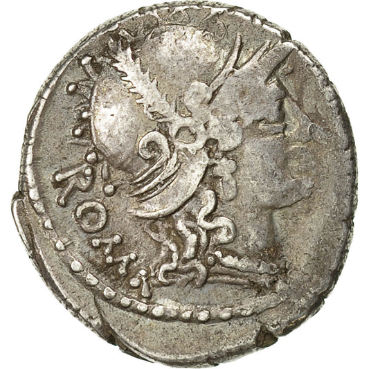 minca, 
  
  Carissa, 
  
  dinár