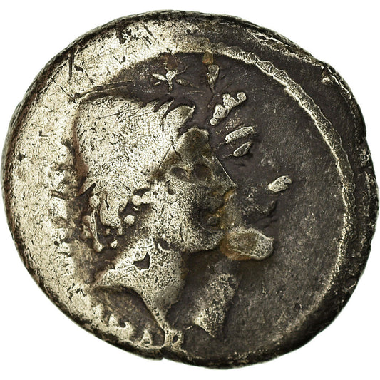 minca,
 
 Cordia,
 
 dinár
