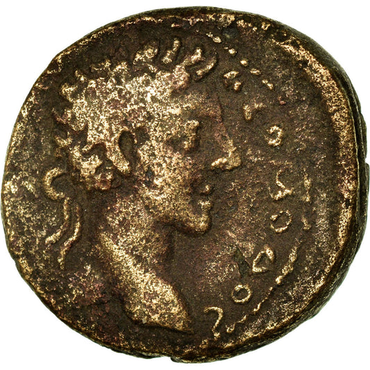 minca, 
  
  liečivý, 
  
  Commodus