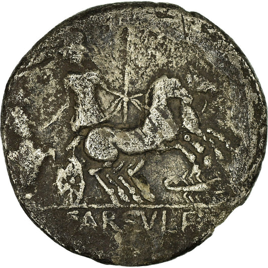 minca, 
  
  fazuľa, 
  
  dinár